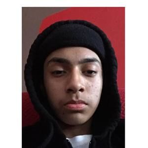 Meet your Posher, Dante